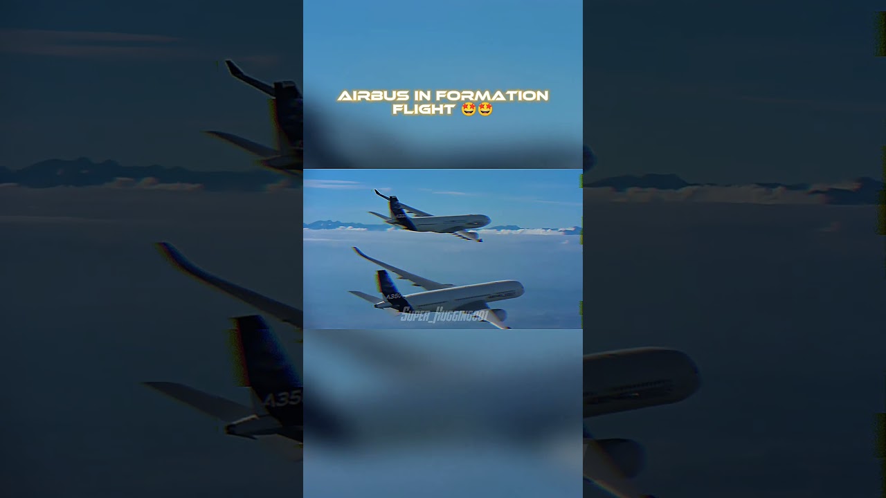 Airbus in Comercial Flight | 