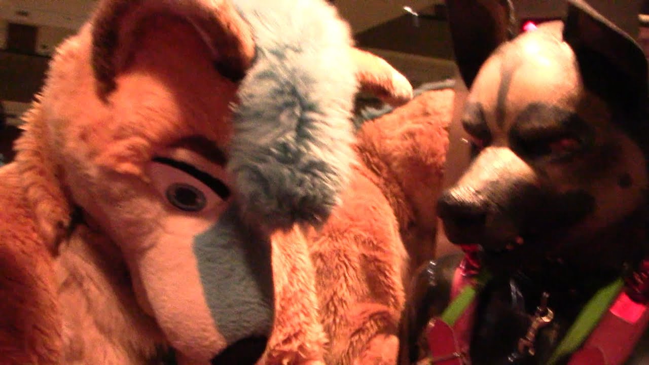 MidWest FurCon Gas Attack 2014 - Cosplayer Nation