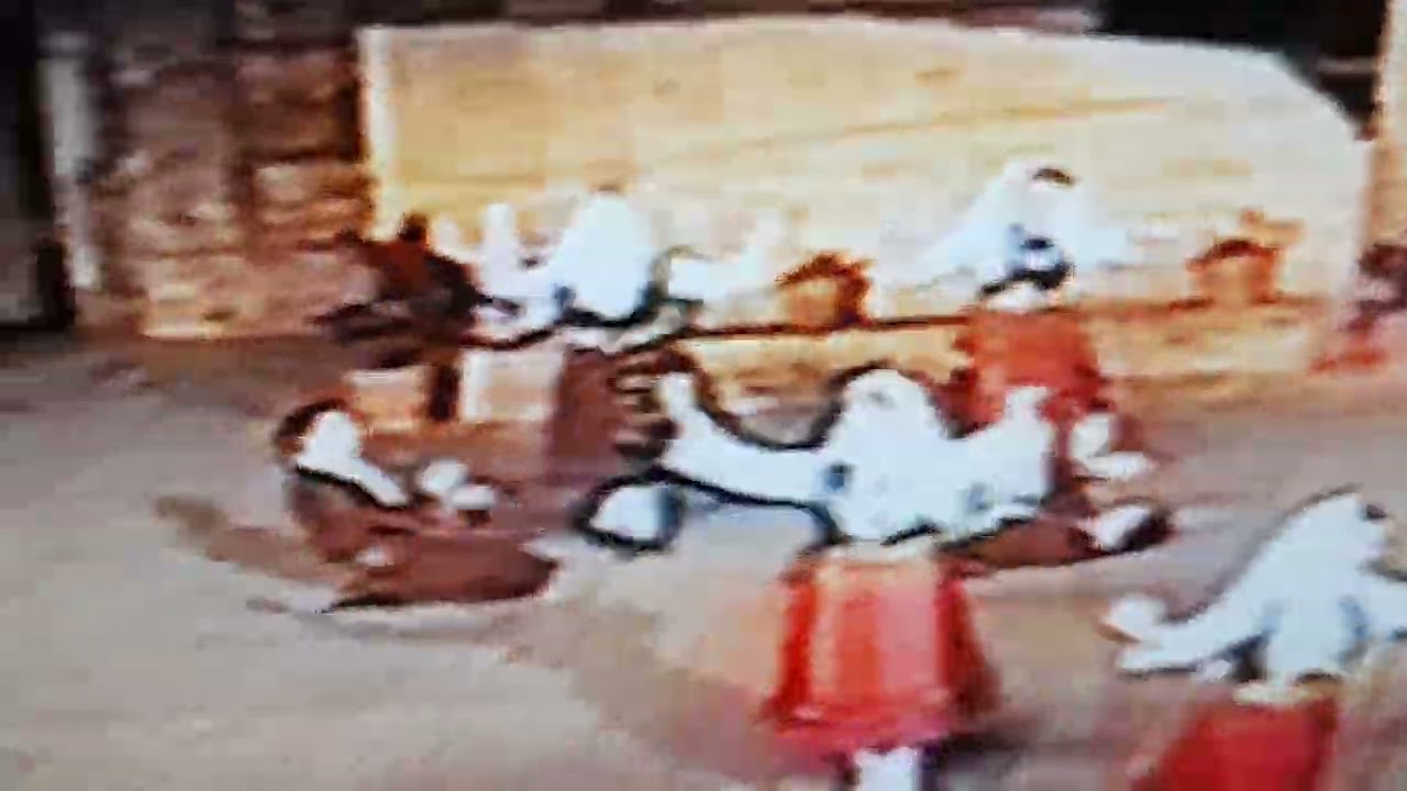 Thraki Sygathistos Choreographer Professional Dancer Maria Kalogerakou