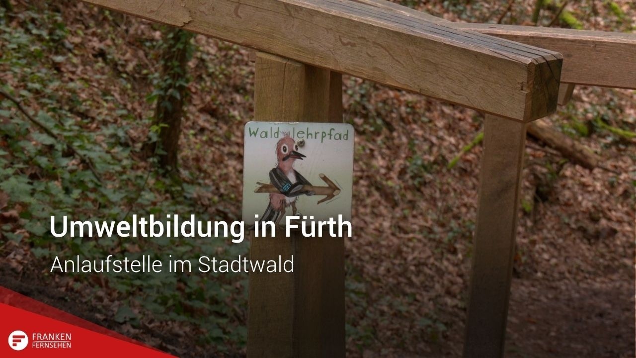 Umweltbildung in F&uuml;rth: Anlaufstelle im Stadtwald