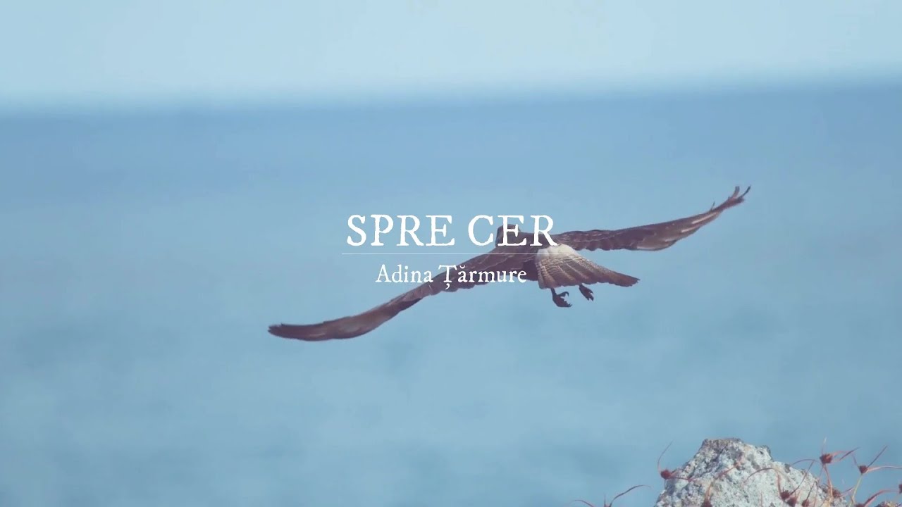 Adina Țărmure | Spre cer (Official Audio Video)
