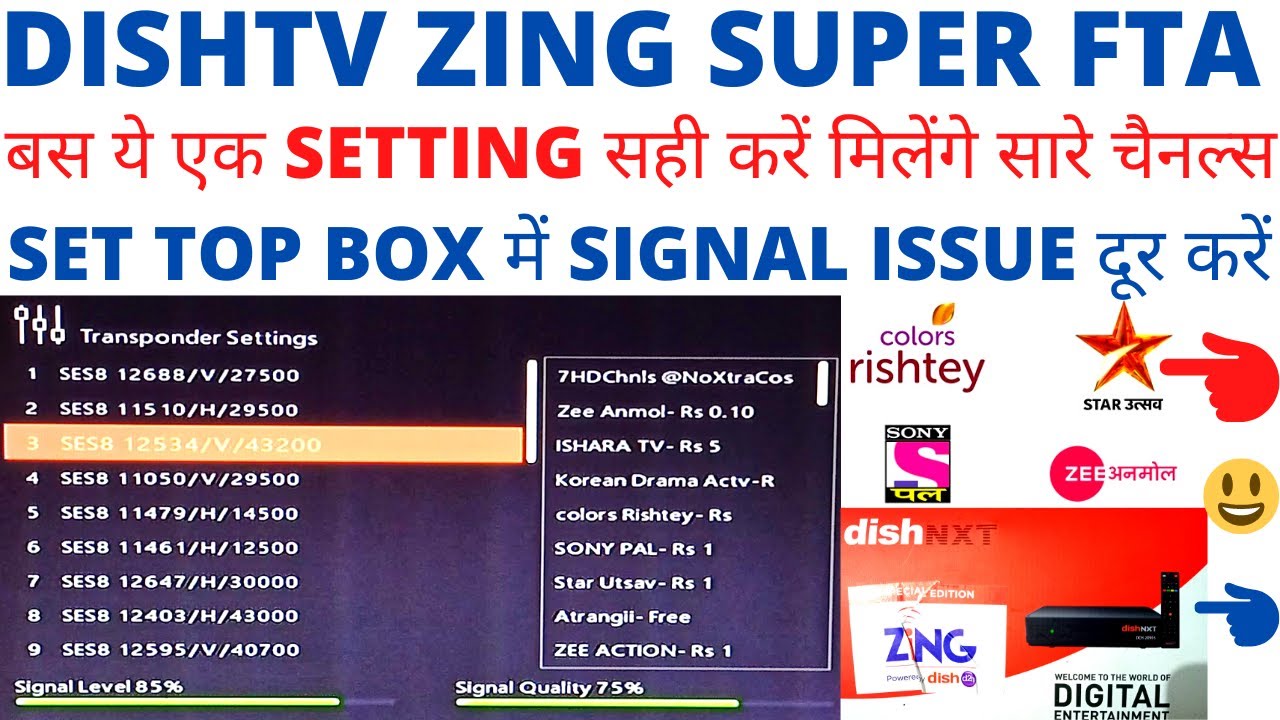 Zing Super FTA DishTV|Channel Signal Settings|Zing Super FTA में Channels के Signals कैसे ठीक करें|