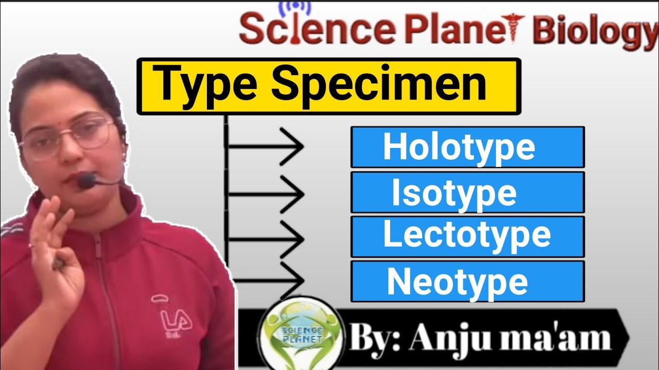 Type Specimen ||By Anju ma'am|| @scienceplanetbiology