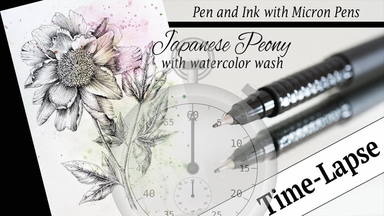 (Timelapse)Drawing a Peony with Micron Pens