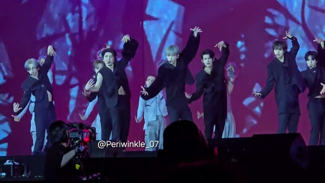 &TEAM - Deer Hunter (AAA 2024 Live Performance)