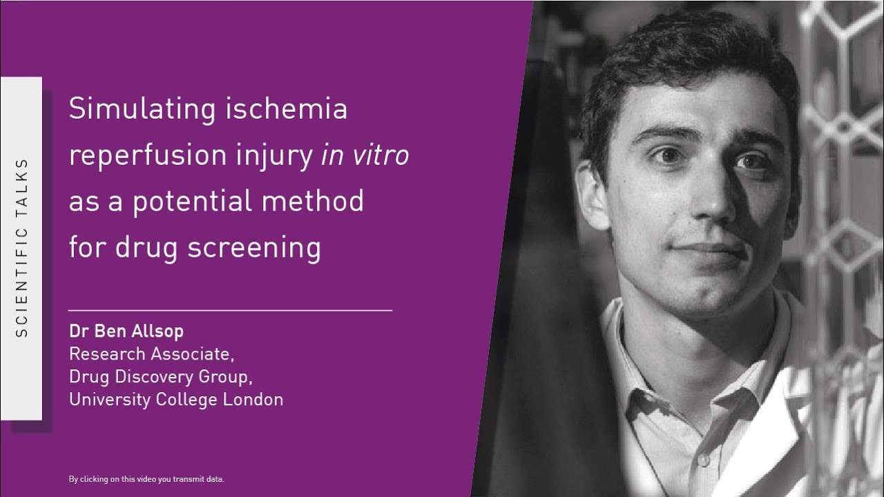 Simulating ischaemia-reperfusion injury in vitro as a potential method for drug screening