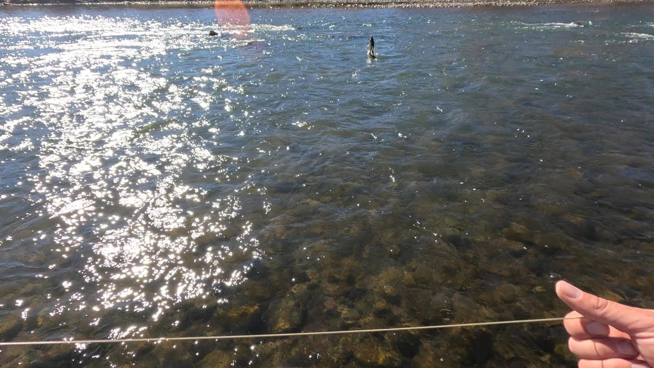 Fly Fishing Colorado’s Arkansas River!