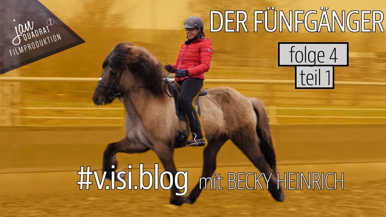 training mit islandpferden #v.isi.blog - folge 4 | der fünfgänger | teil 1