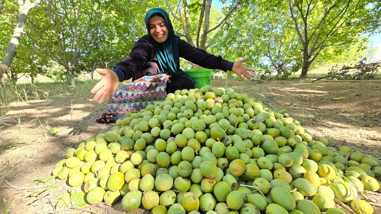 Kulthum's busy day in the garden 🏡🌿:🥜🌳 From picking walnuts with a stick to picking hay