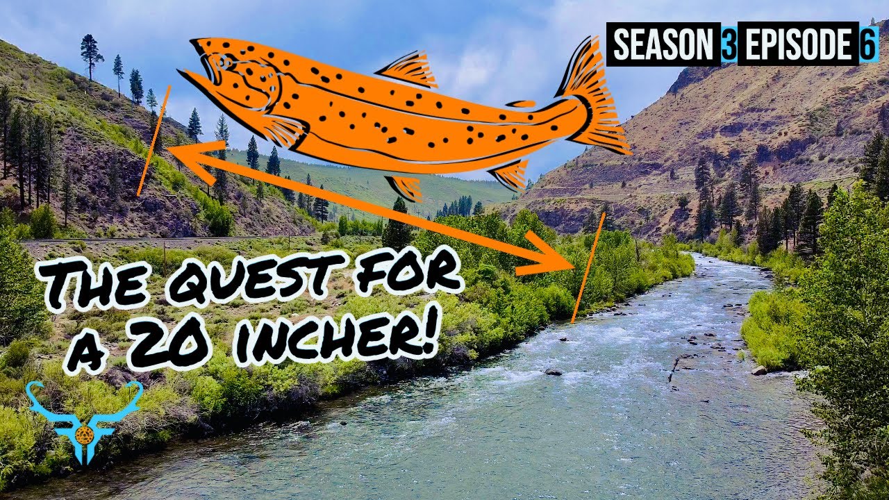 Truckee River Fly Fishing | A Quest for a 20 Inch Trout!