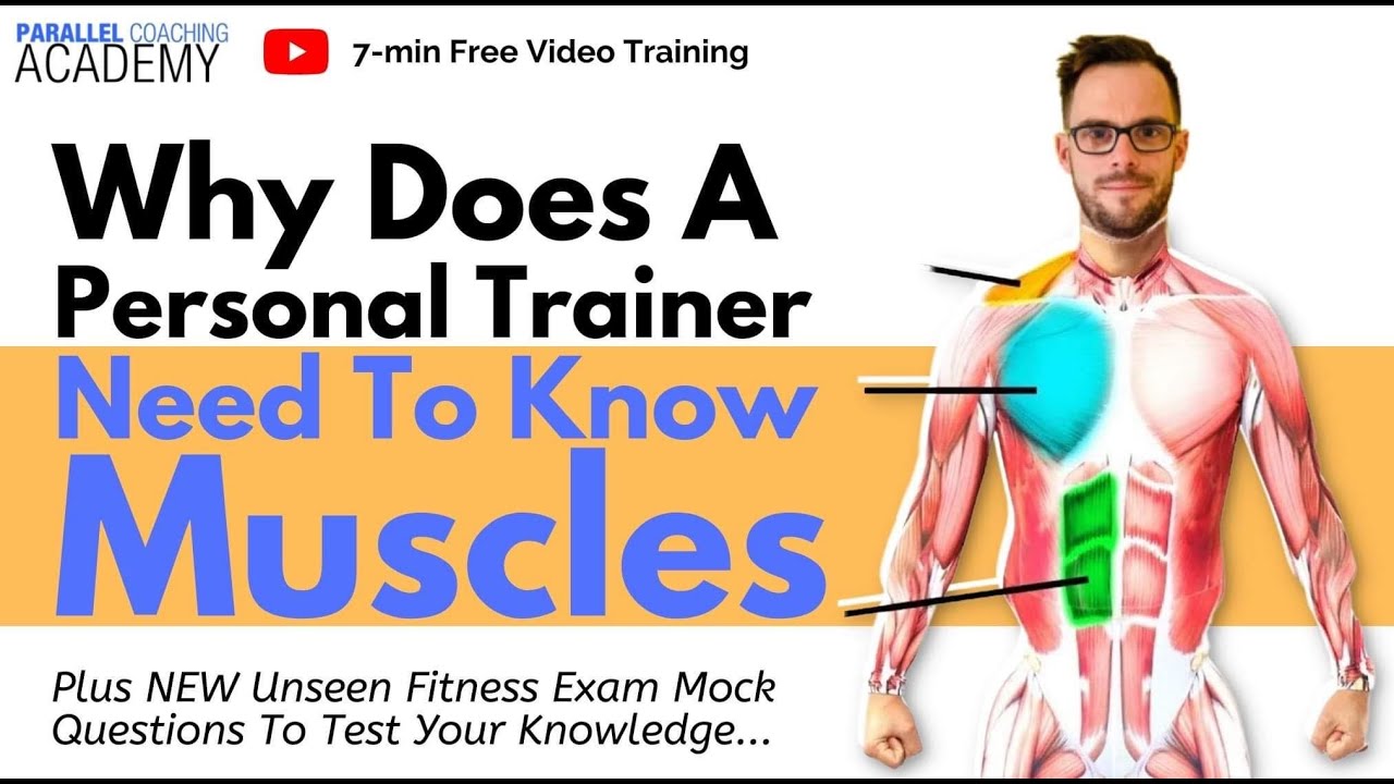Why Does A Personal Trainer Need To Know Muscles?