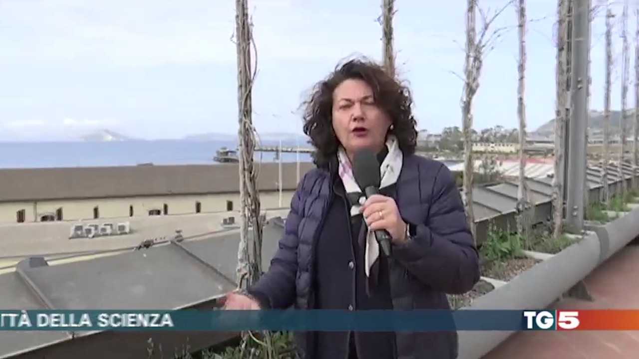 TG 5 DEL 4 MARZO 2017