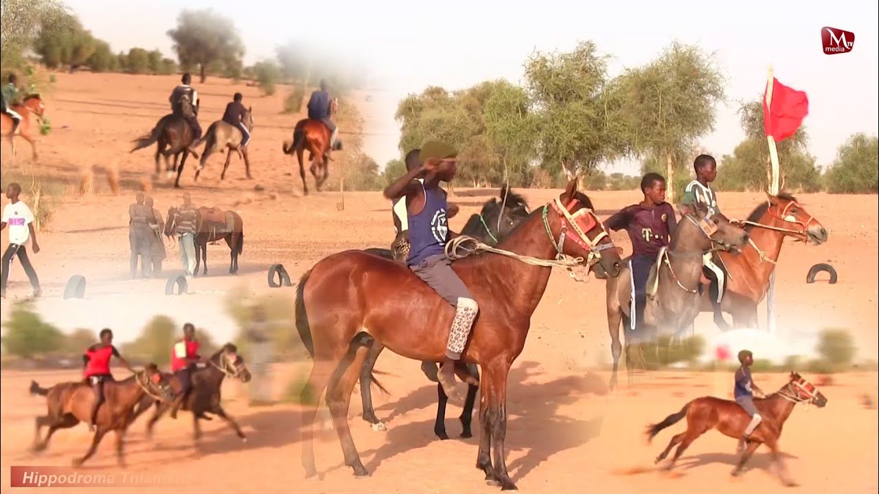 🔴 3ème Journée Courses Hippiques à Thiamène 🐴🐴