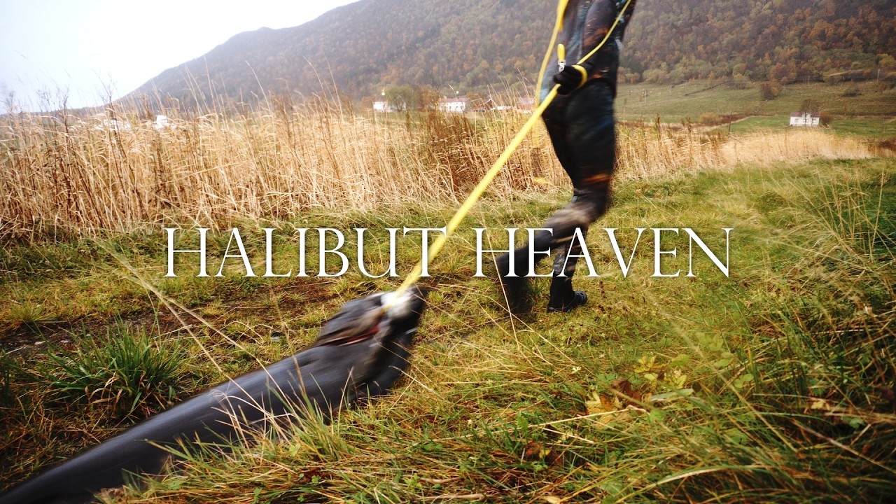 Halibut Heaven (and some other cool fish)
