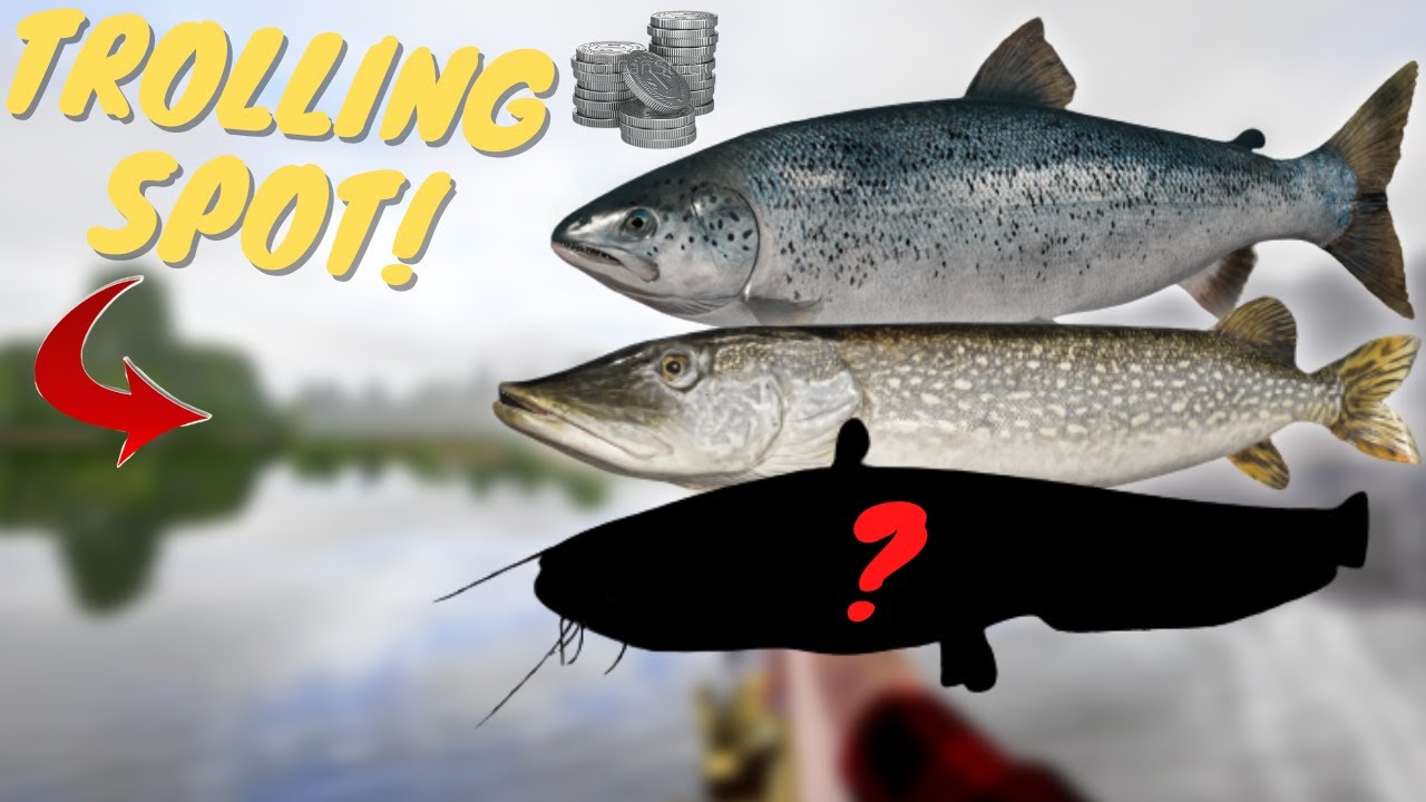 TROLLING SPOT IN VOLKHOV RIVER! #613 Russian fishing 4
