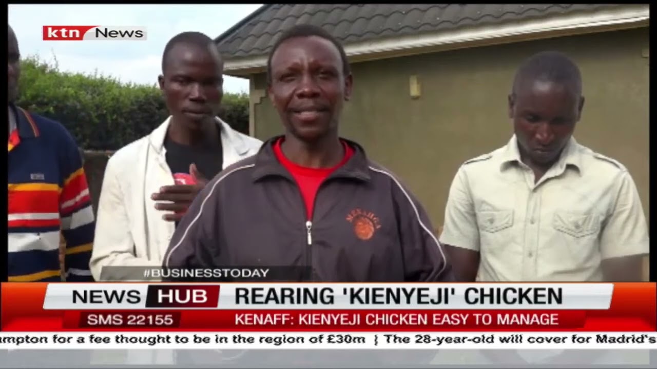 Youth in Kuria East Migori County embark on rearing indigenous (kienyeji) chicken