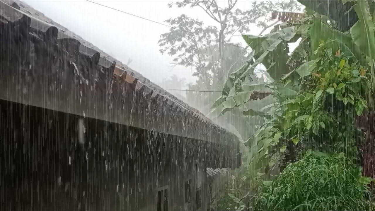 Сильный дождь 🌧️ Естественные звуки, успокаивающие душу и разум