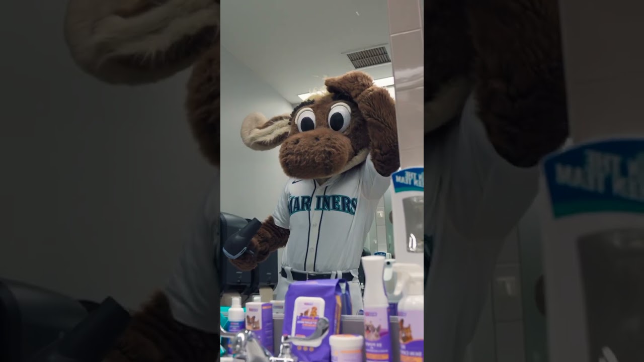 How the Mariners Moose Gets Ready for Game Day! (with HICC Pet)