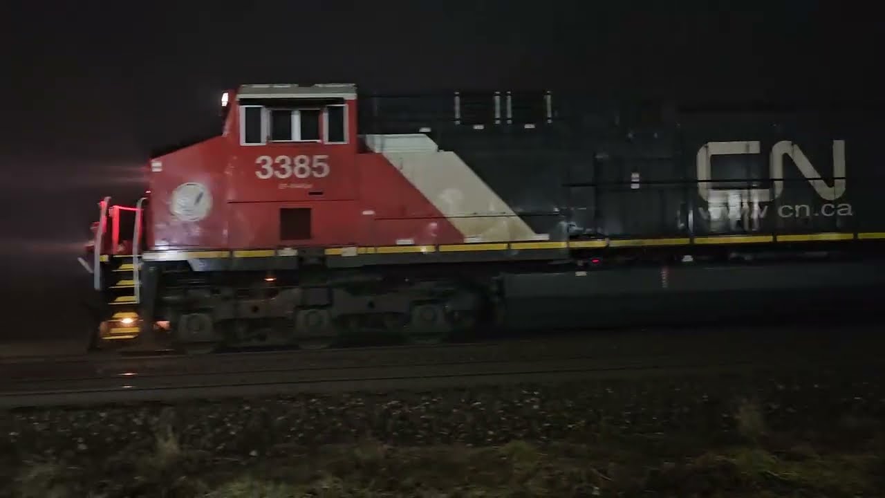 CN M399 🌁 🌫 