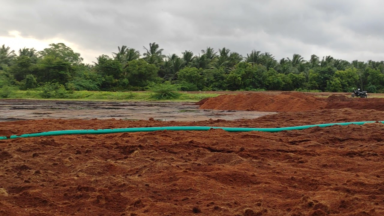 COCOPEAT🌴 wash processing√