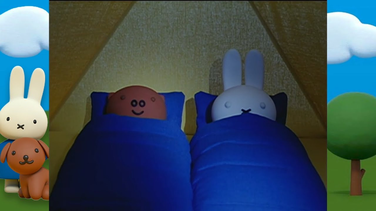 テントに　おとまり |ミッフィー | 子供向けアニメ
