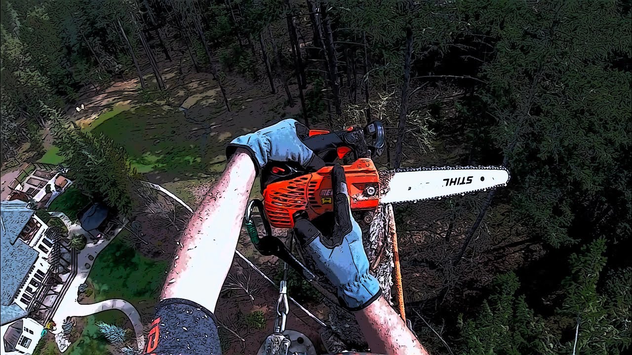 Echo CS-2511T Tree-Work Test
