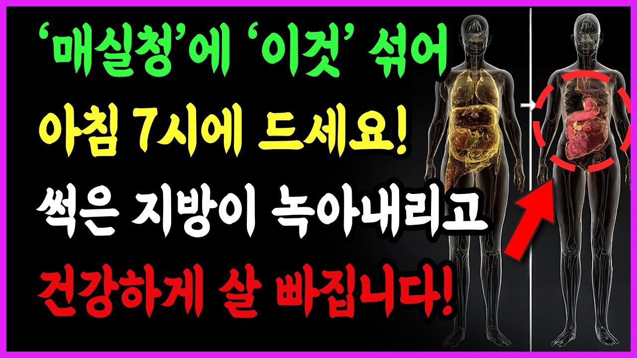 매실청에 이것 섞어 아침 7시에 드세요! 썩은 지방이 녹아내리고 건강하게 살 빠집니다! | 시니어건강 | 내장지방 | 뱃살 다이어트