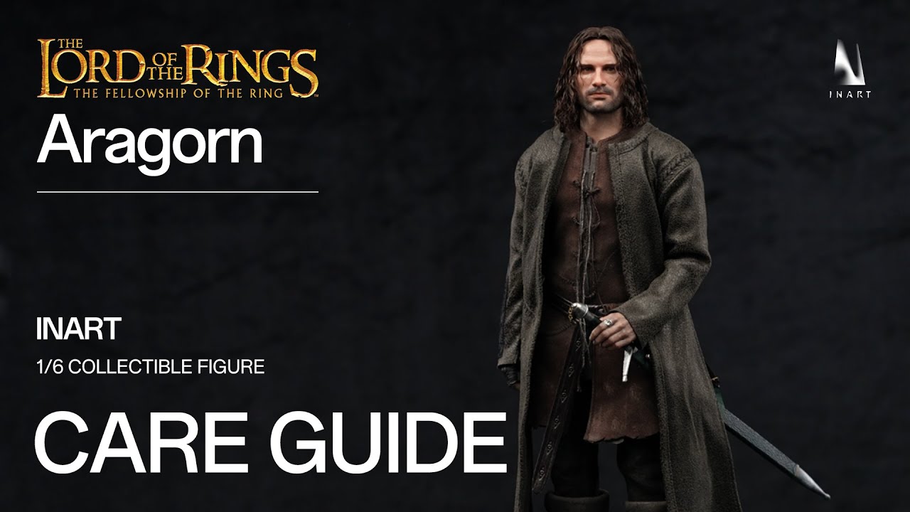 𝐈𝐍𝐀𝐑𝐓 - 𝐀𝐫𝐚𝐠𝐨𝐧 𝟏/𝟔 𝐂𝐨𝐥𝐥𝐞𝐜𝐭𝐢𝐛𝐥𝐞 𝐅𝐢𝐠𝐮𝐫𝐞 𝐂𝐚𝐫𝐞 𝐆𝐮𝐢𝐝𝐞