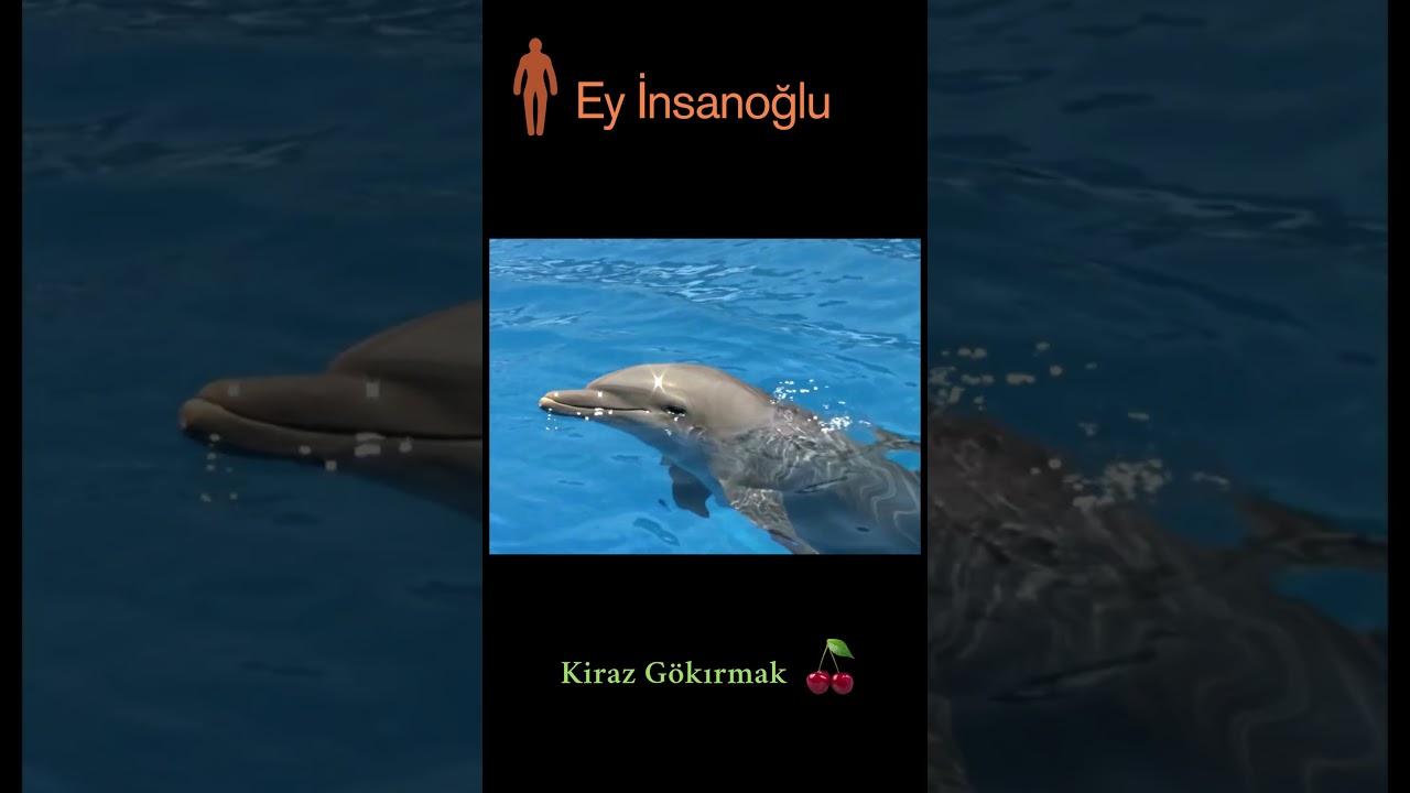 Ey İnsanoğlu #popularsong #viralshort #viralşarkı #beautifulsongs #pop&uuml;lerşarkı