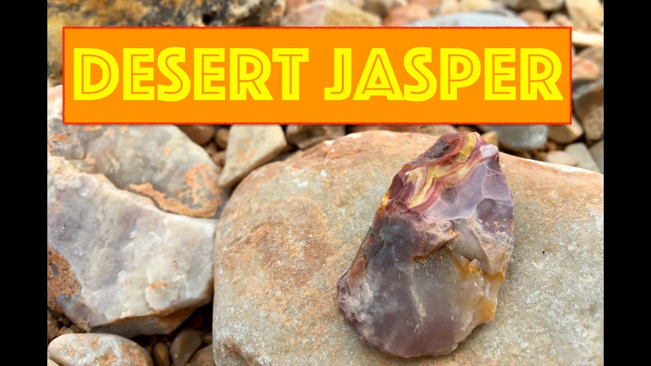 Pryor Mountain Rockhounding - Hunting for Montana Jasper, Fossils, and Bear Canyon Agates