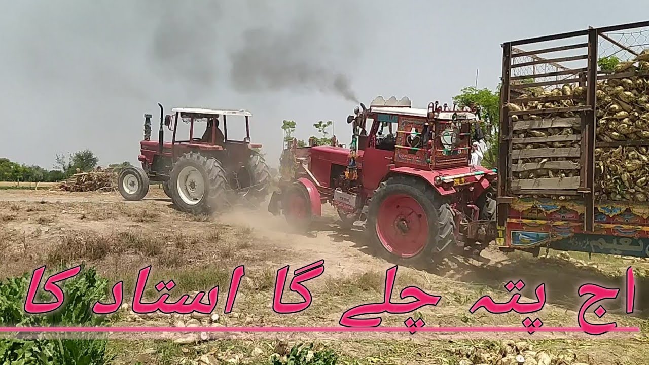 چکندر کی لوڈنگ ٹریکٹر بلارس 510 9 ماڈل ڈرائیور استاد عبدالواجد بھڈا