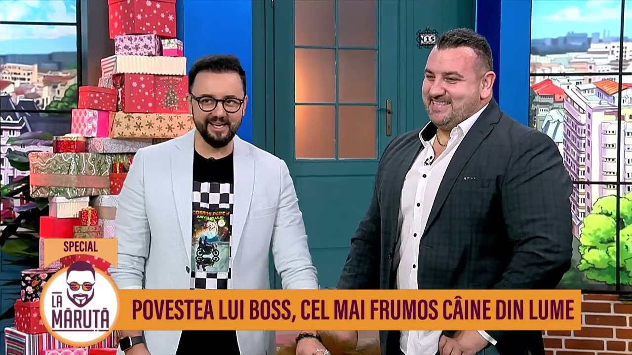 Povestea lui Boss, cel mai frumos câine din lume