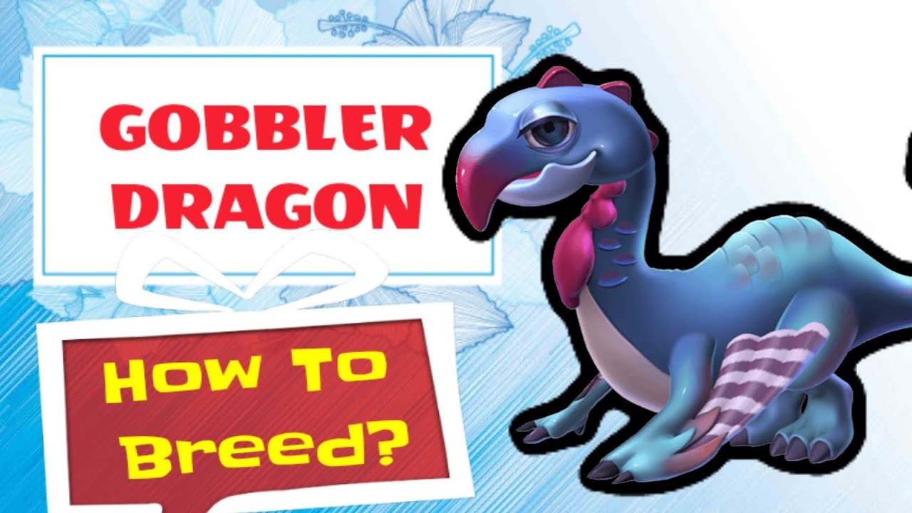 GOBBLER Dragon | Next DOTW | How to breed? Breeding Combination | Dragon Mania Legends DmL