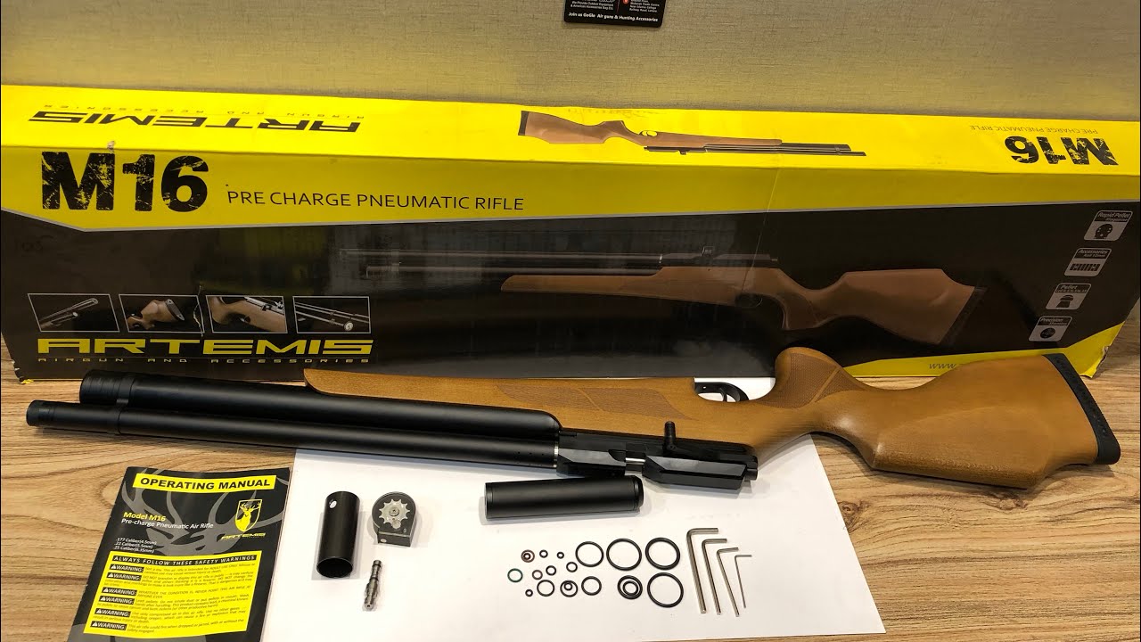 Pcp Artemis M16 Air rifle