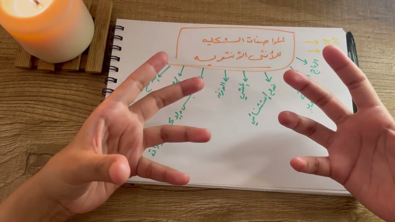 المواصفات الشكليه للأنثى الأنثوية 🤔