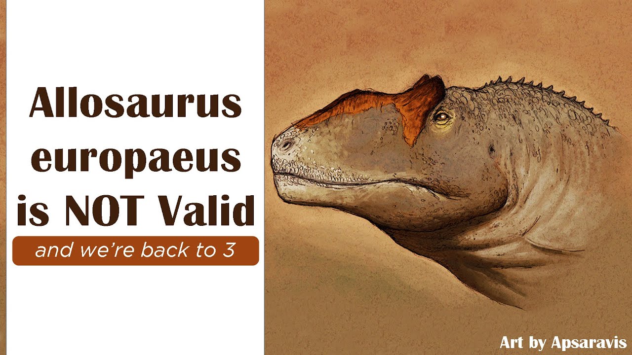 Allosaurus europaeus is Not Valid (fixed audio)