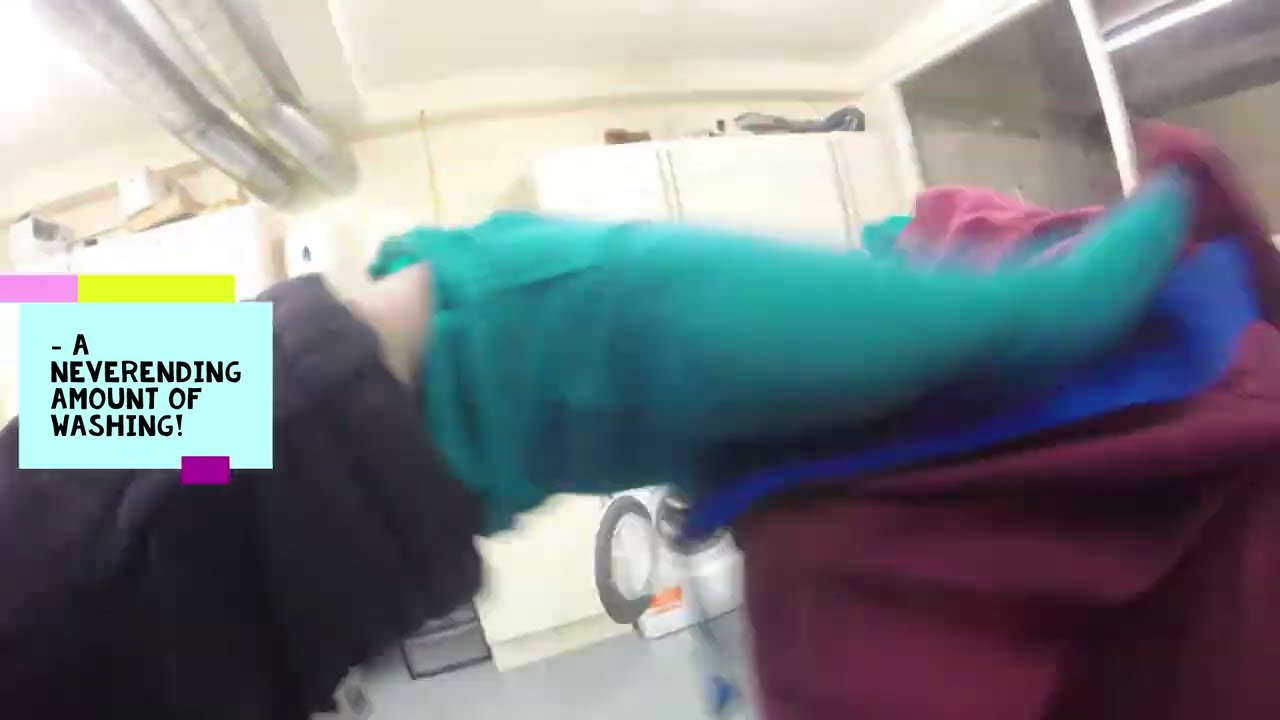 Day in the life of an Equine Veterinary Care Assistant