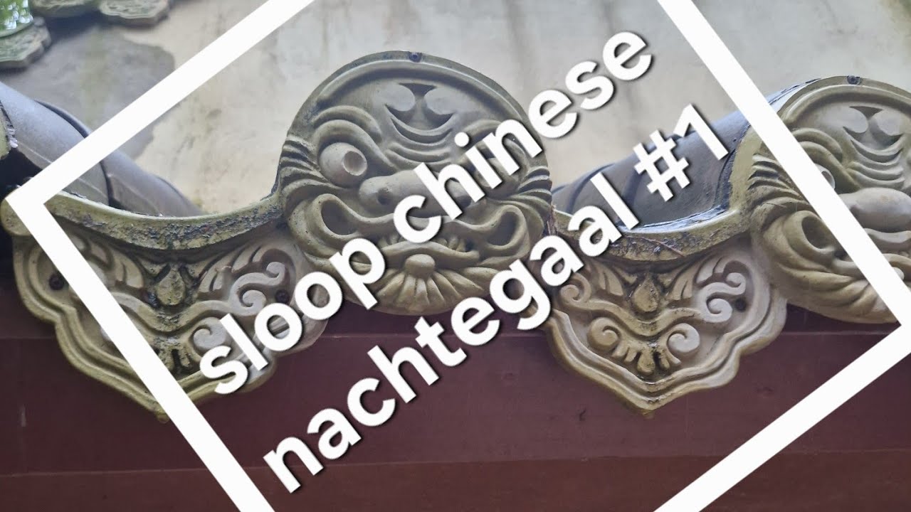 De sloop chinese nachtegaal deel #1 #efteling 