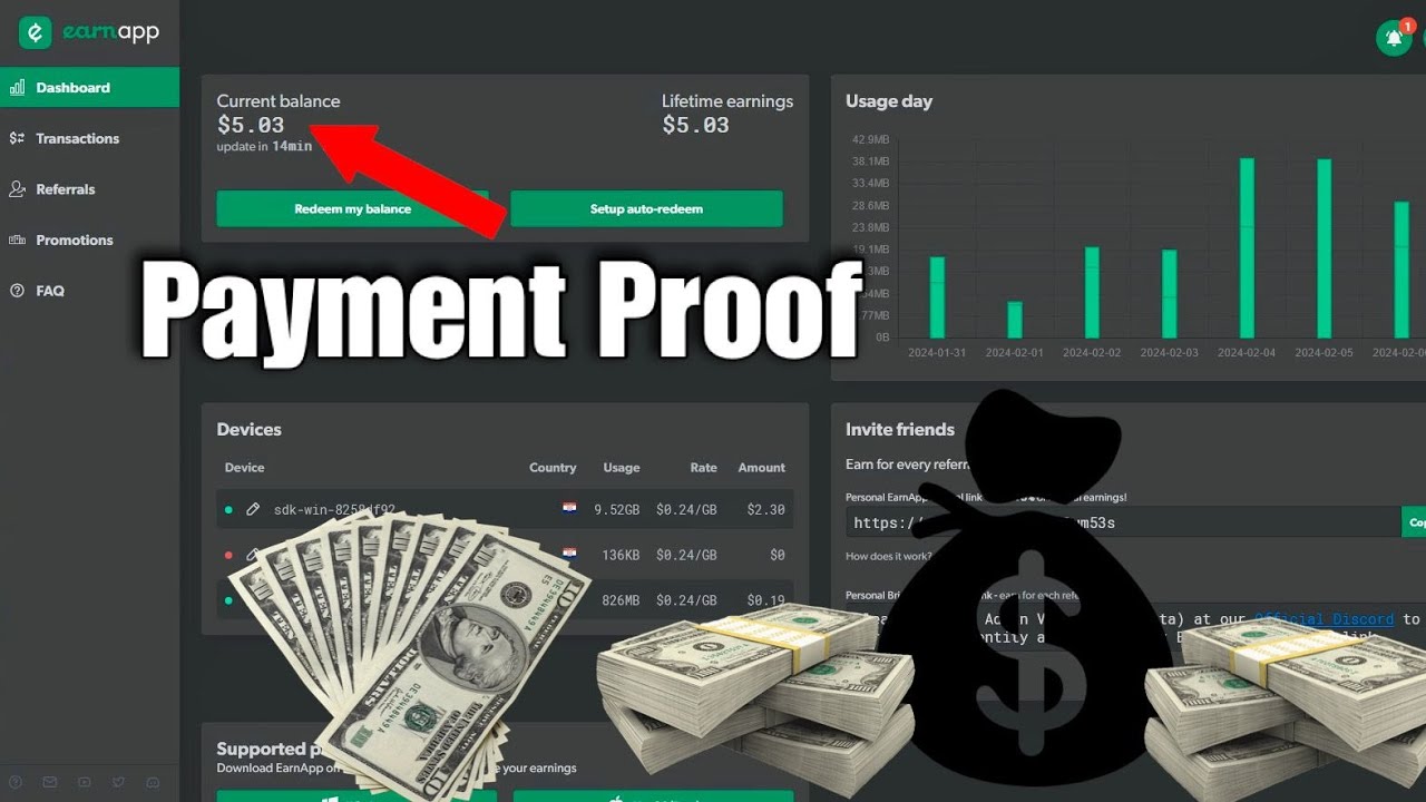 EarnApp Payment Proof, How To Payout