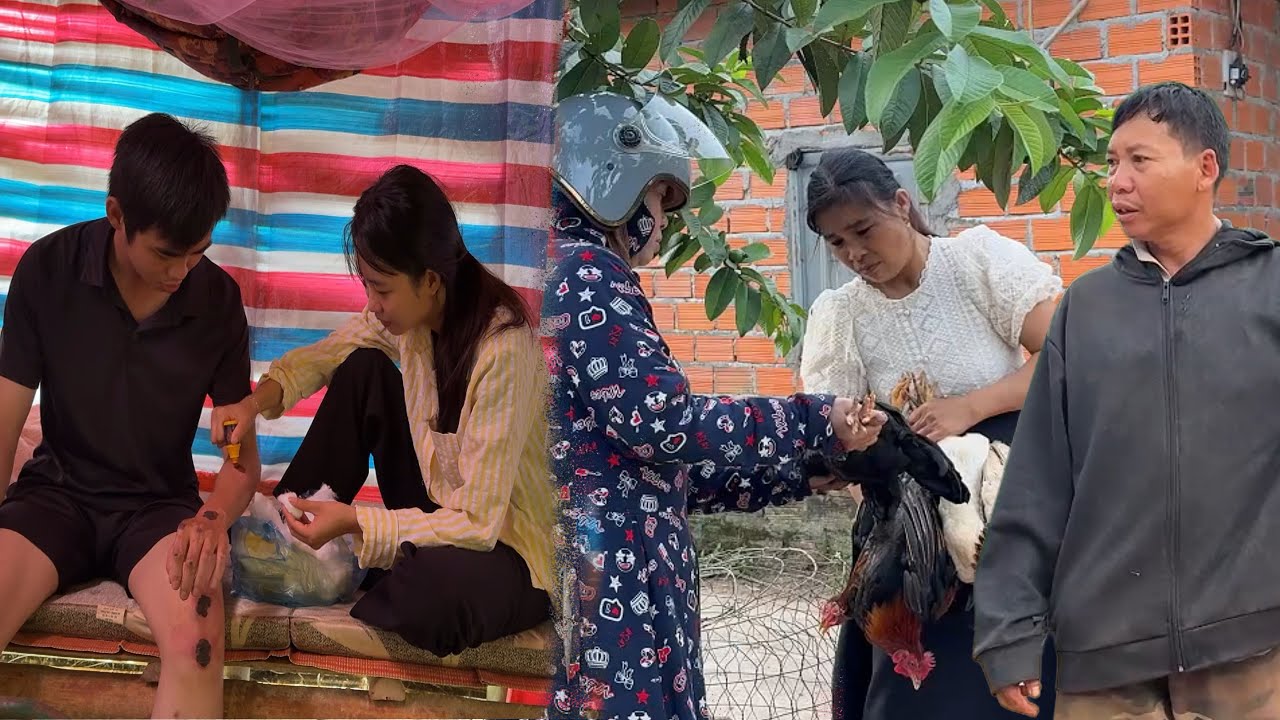 Alan slowly recovers with Tu Vi&rsquo;s care, but her pain returns &ndash; Father fights to protect the chickens