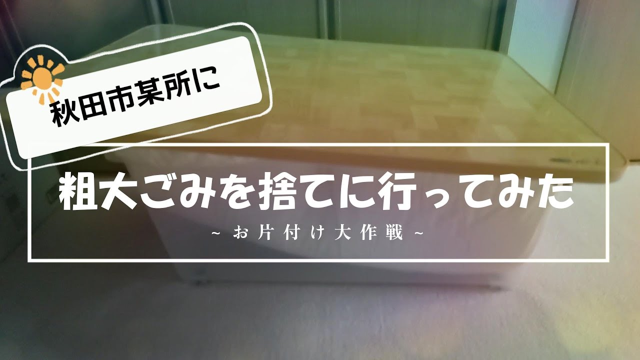 【去年の】不用品を捨てに行ってみた【行動】