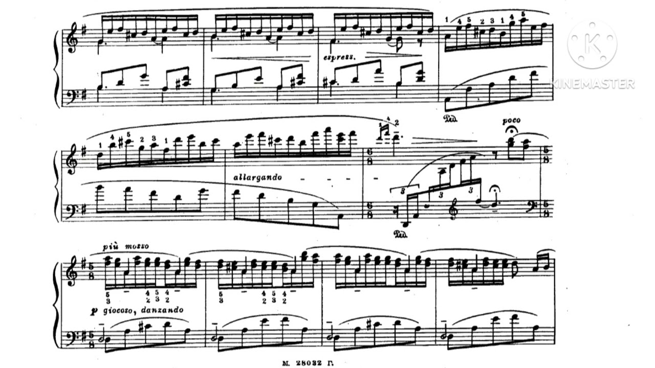 N. Medtner - Op. 40 N°5 