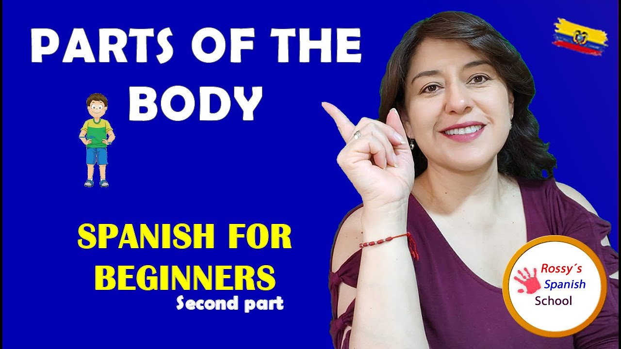 Body Parts in Spanish – Part 2 (A1) | Learn Spanish for Beginners