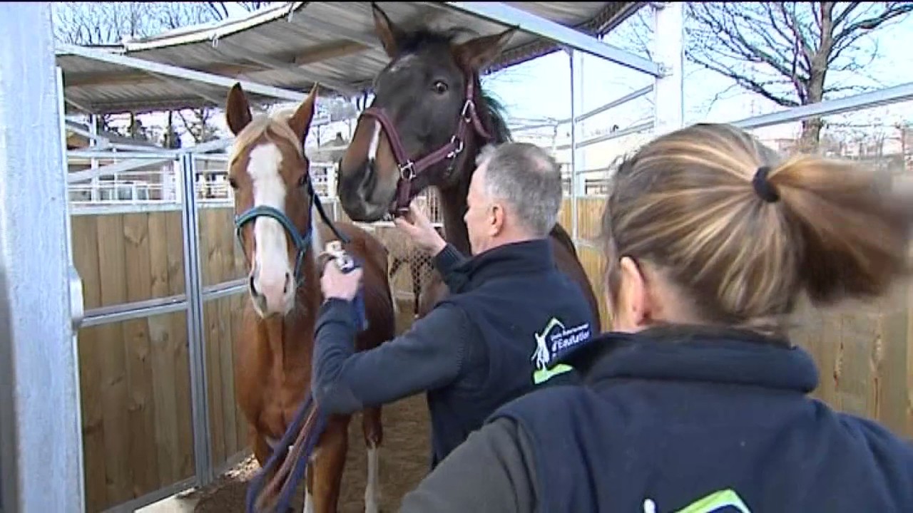 Nouvelle école d’équitation, à Aurillac