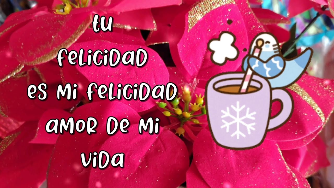 Amor Necesito saber como est&aacute;s mi amor Dedicatorias Rom&aacute;nticas
