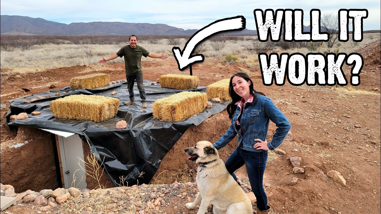 Using Straw Bales To Insulate Our Root Cellar AND Grow Food!