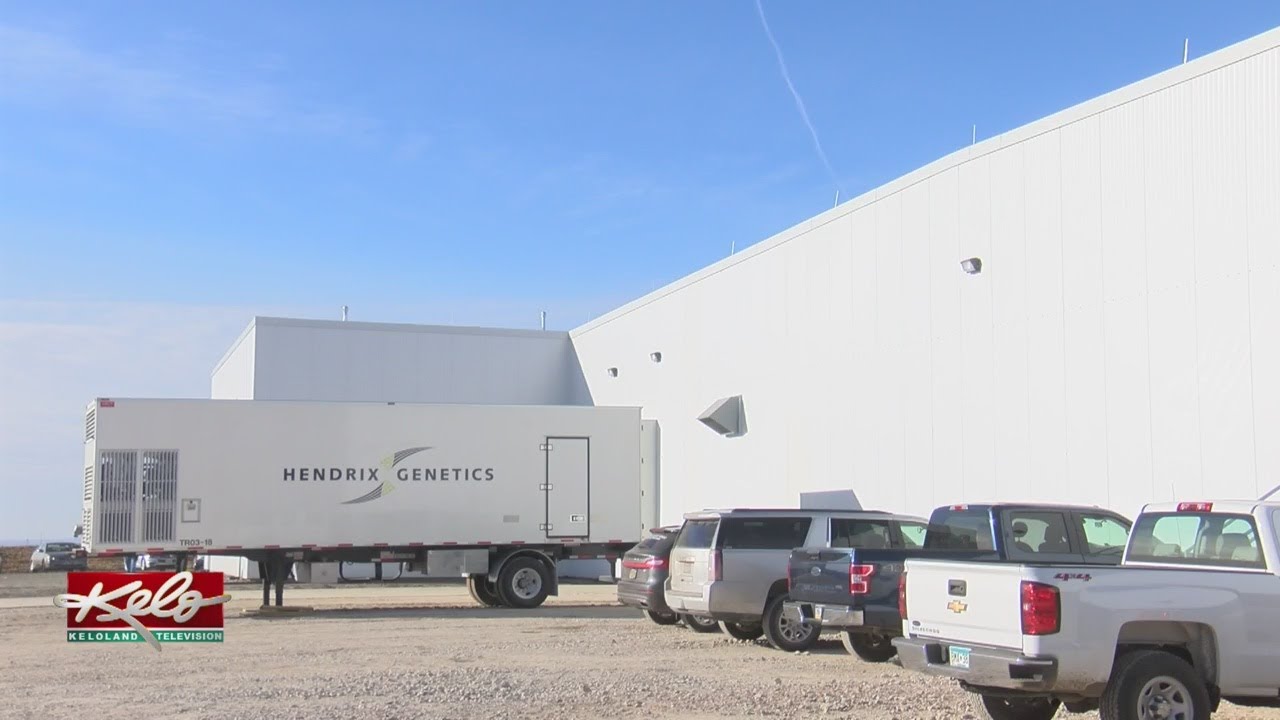 Turkey Hatchery Has Grand Opening In Beresford