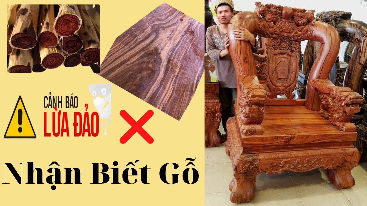 Cách Nhận Biết Các Loại Gỗ Tránh Bị Lừa Khi Đi Mua Đồ Gỗ ( Thế Giới Đồ Gỗ )