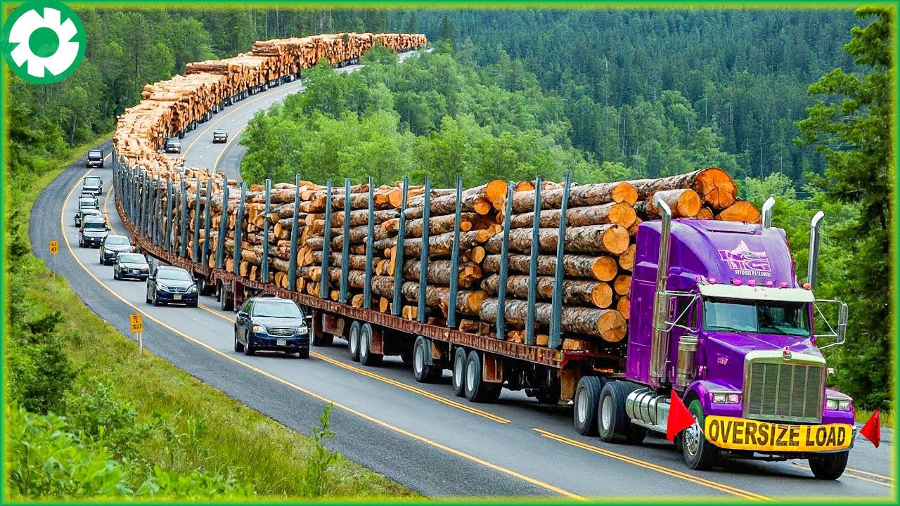 99 Jaw-Dropping Most Dangerous Transport Skills | Biggest Heavy Machinery Machines