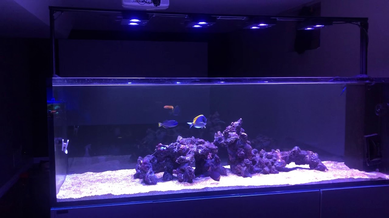 Waterbox 7225 - Update